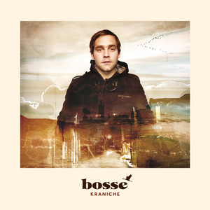 Cover: Kraniche
