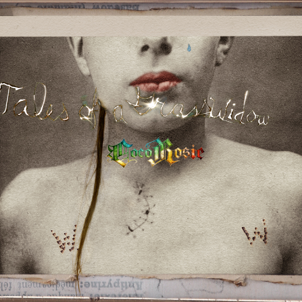 Cover: Tales Of A Grasswidow