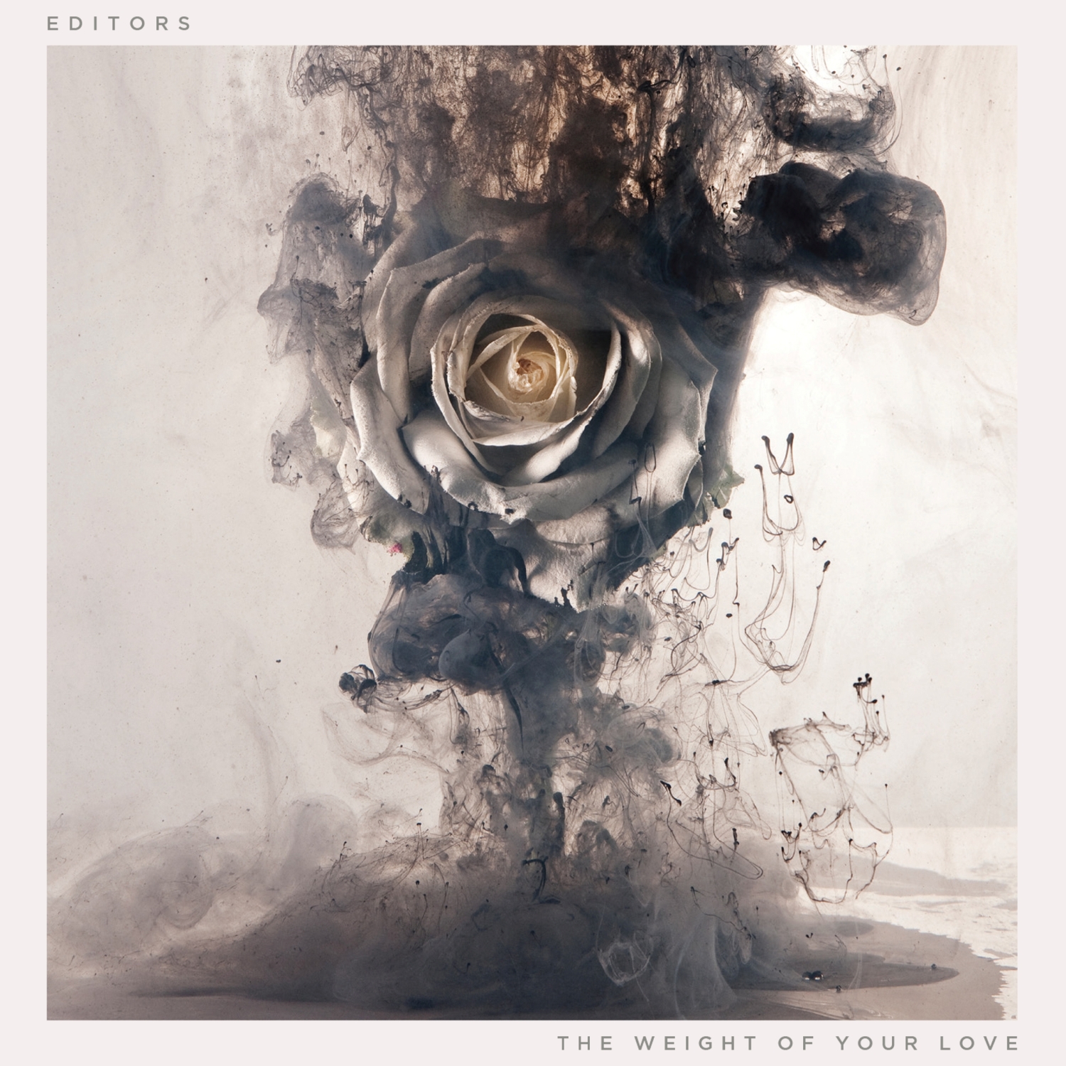 Cover: The Weight Of Your Love