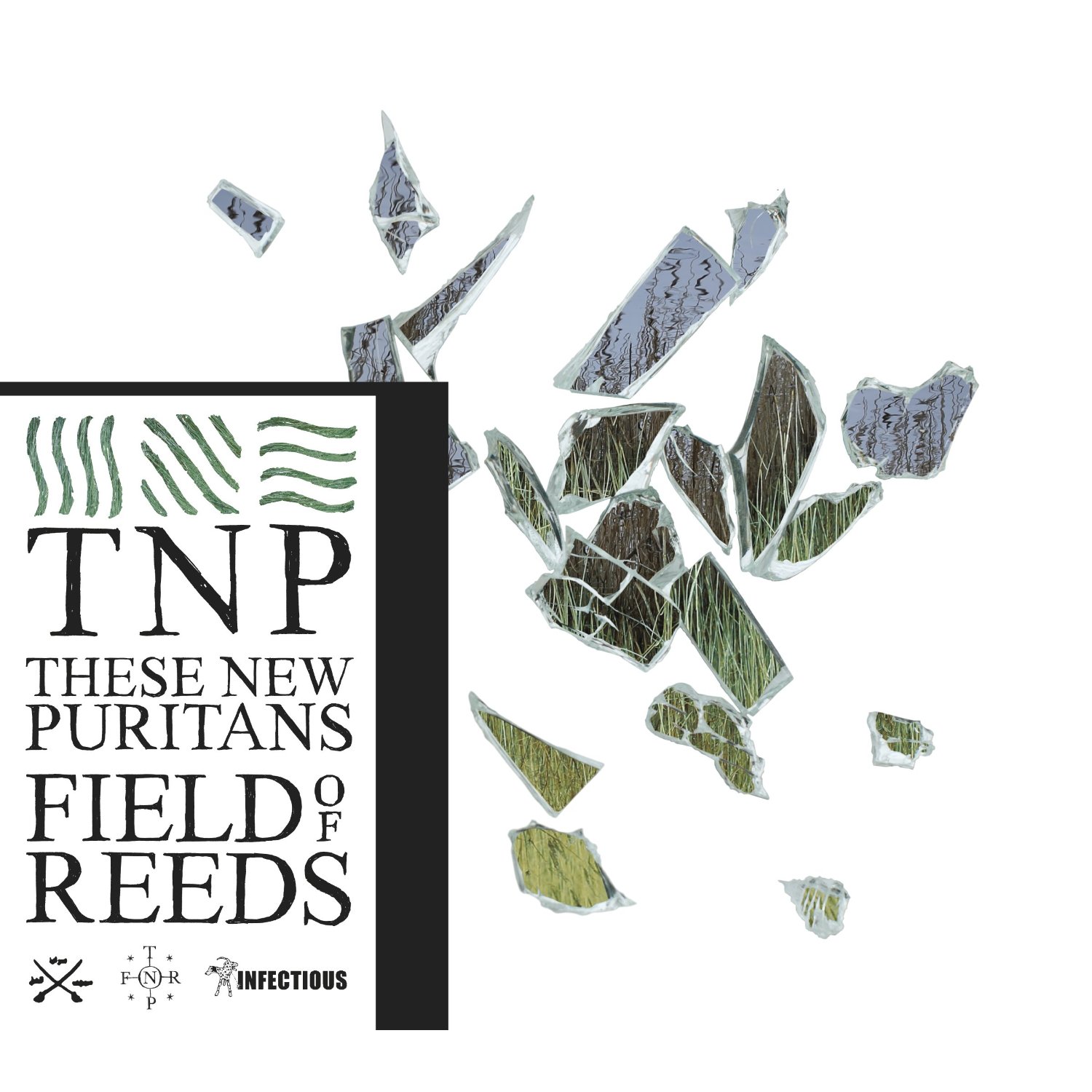 Cover: Field Of Reeds