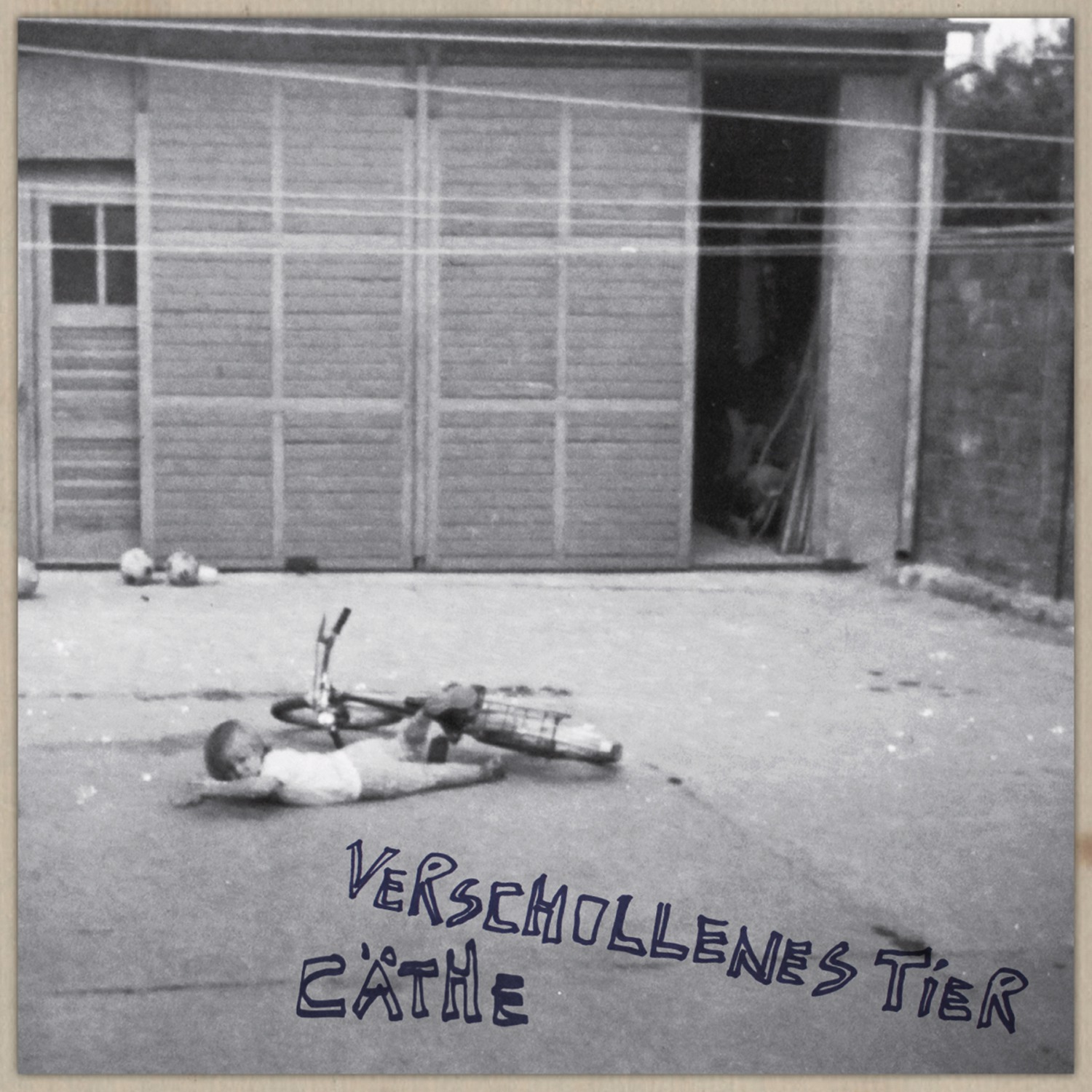 Cover: Verschollenes Tier
