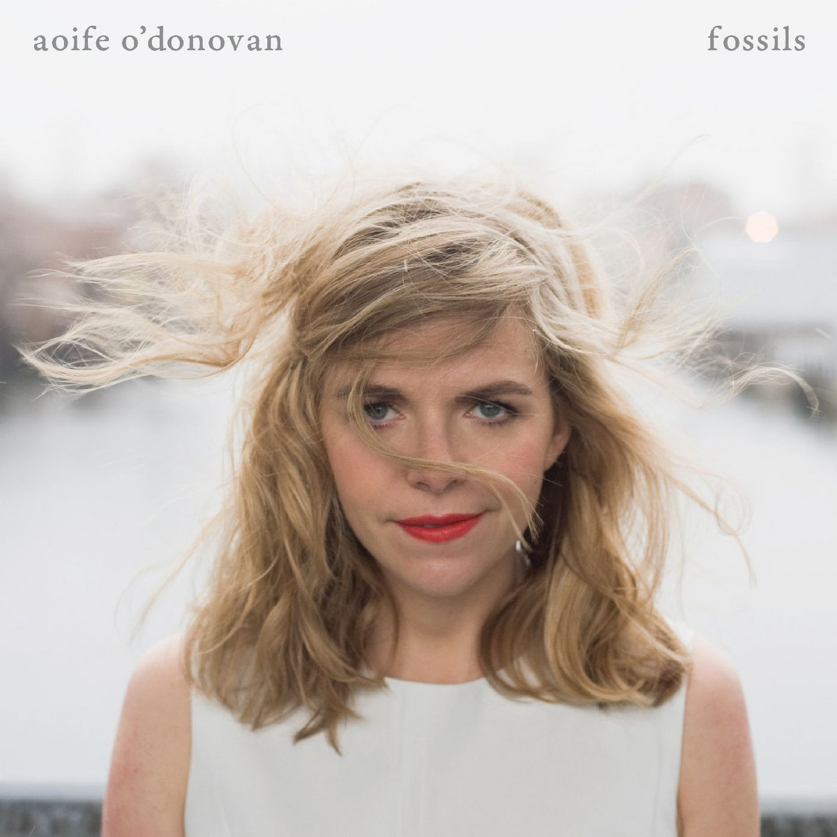 Cover: Fossils