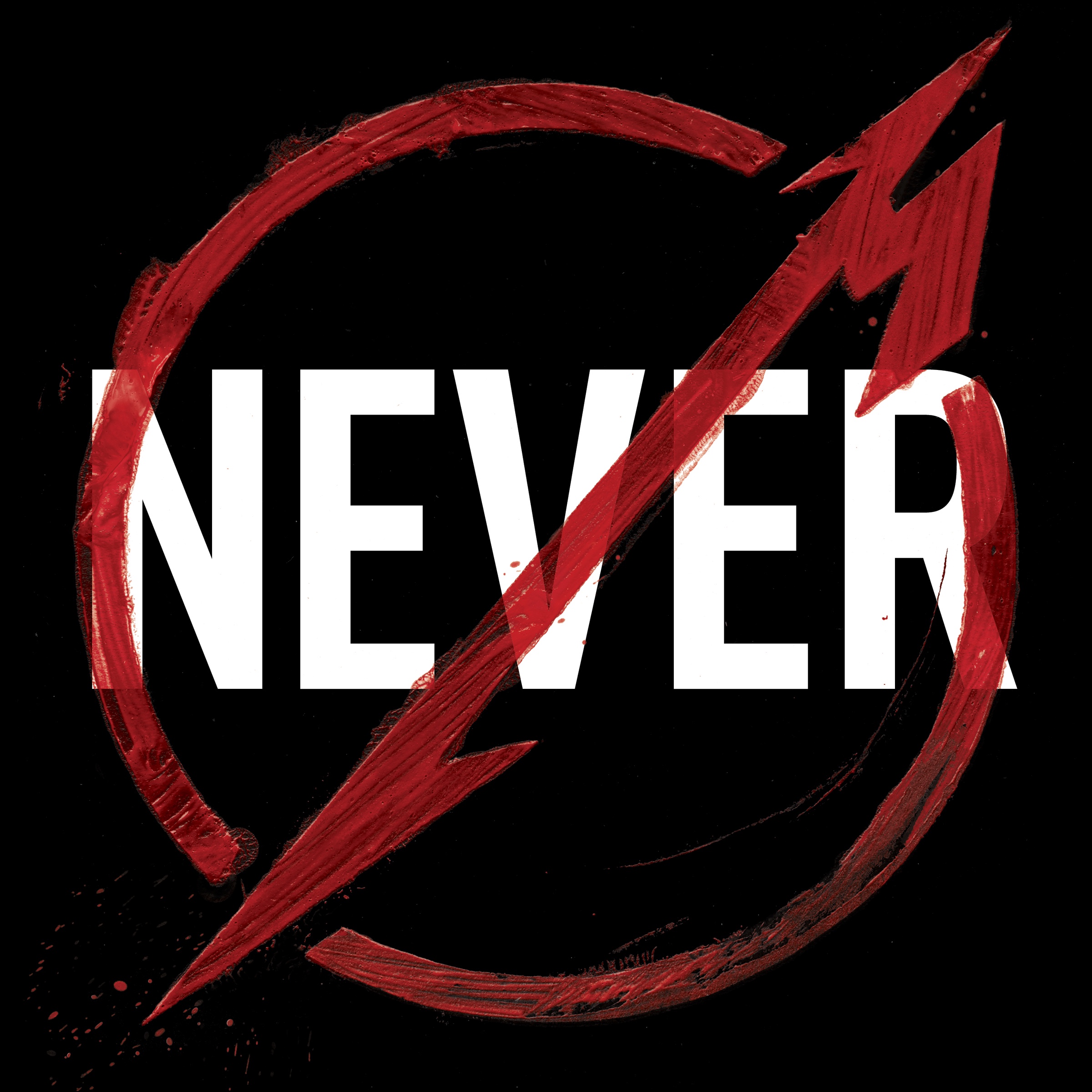 Cover: Through The Never