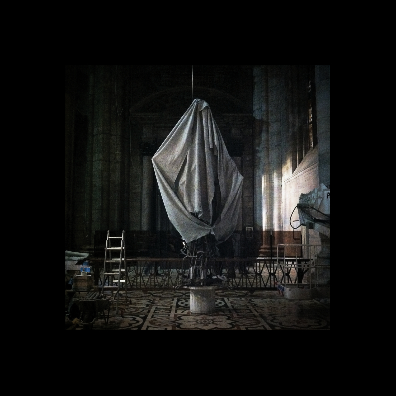 Cover: Virgins