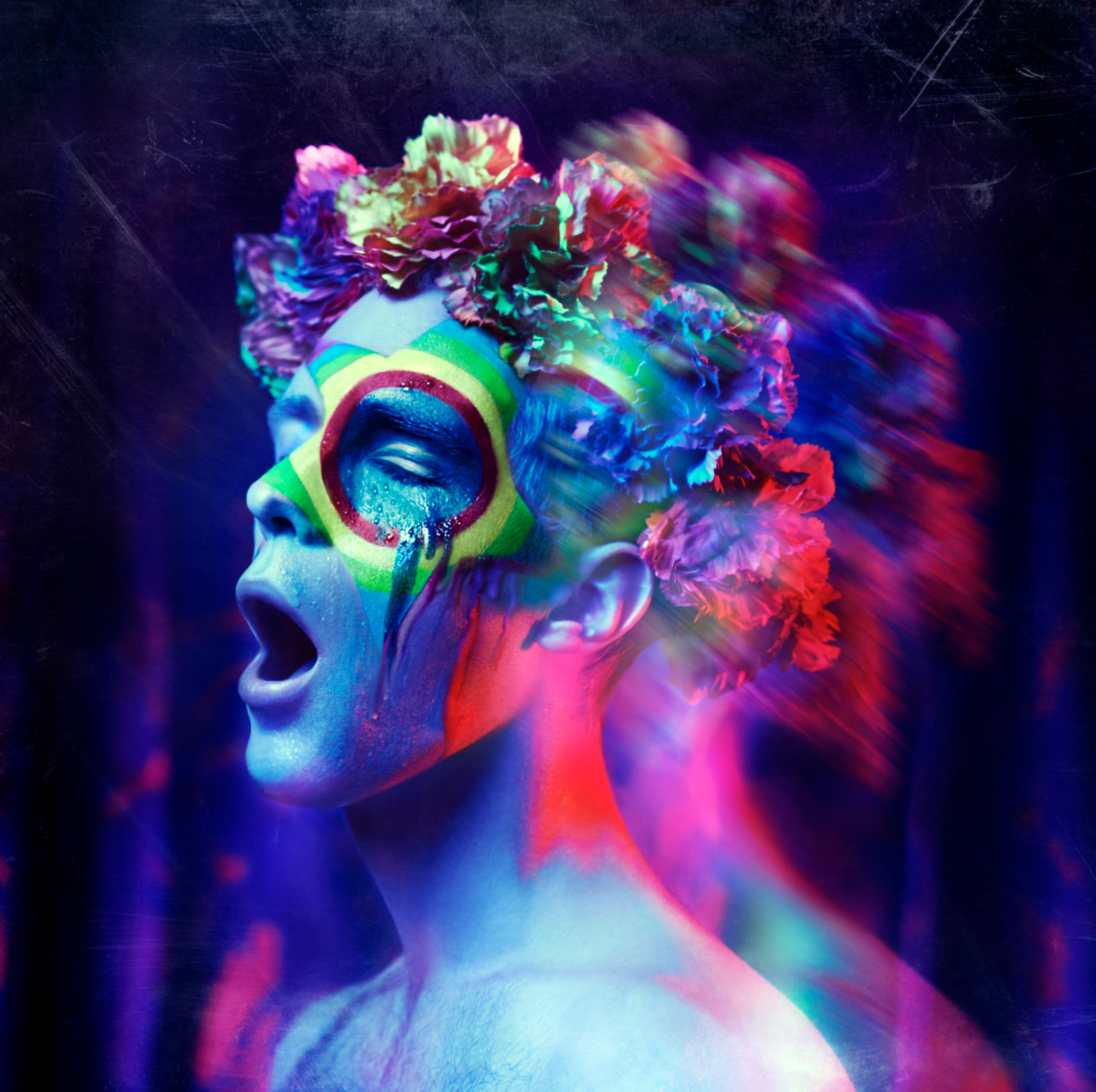 Cover: Wonderland