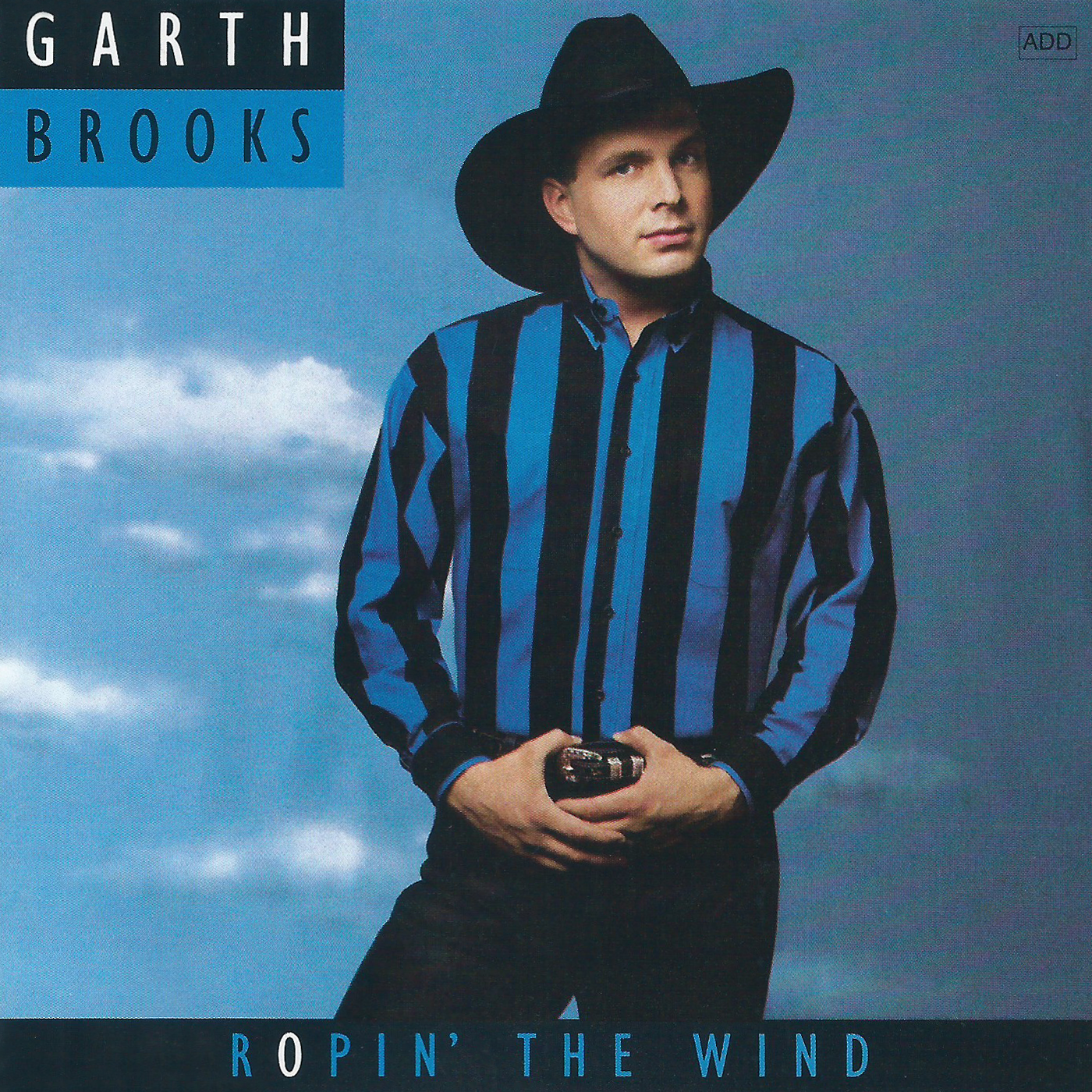 Cover: Ropin' The Wind