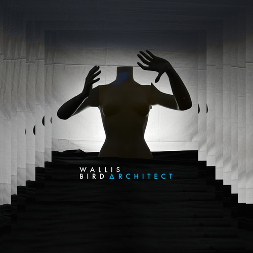 Cover: Architect