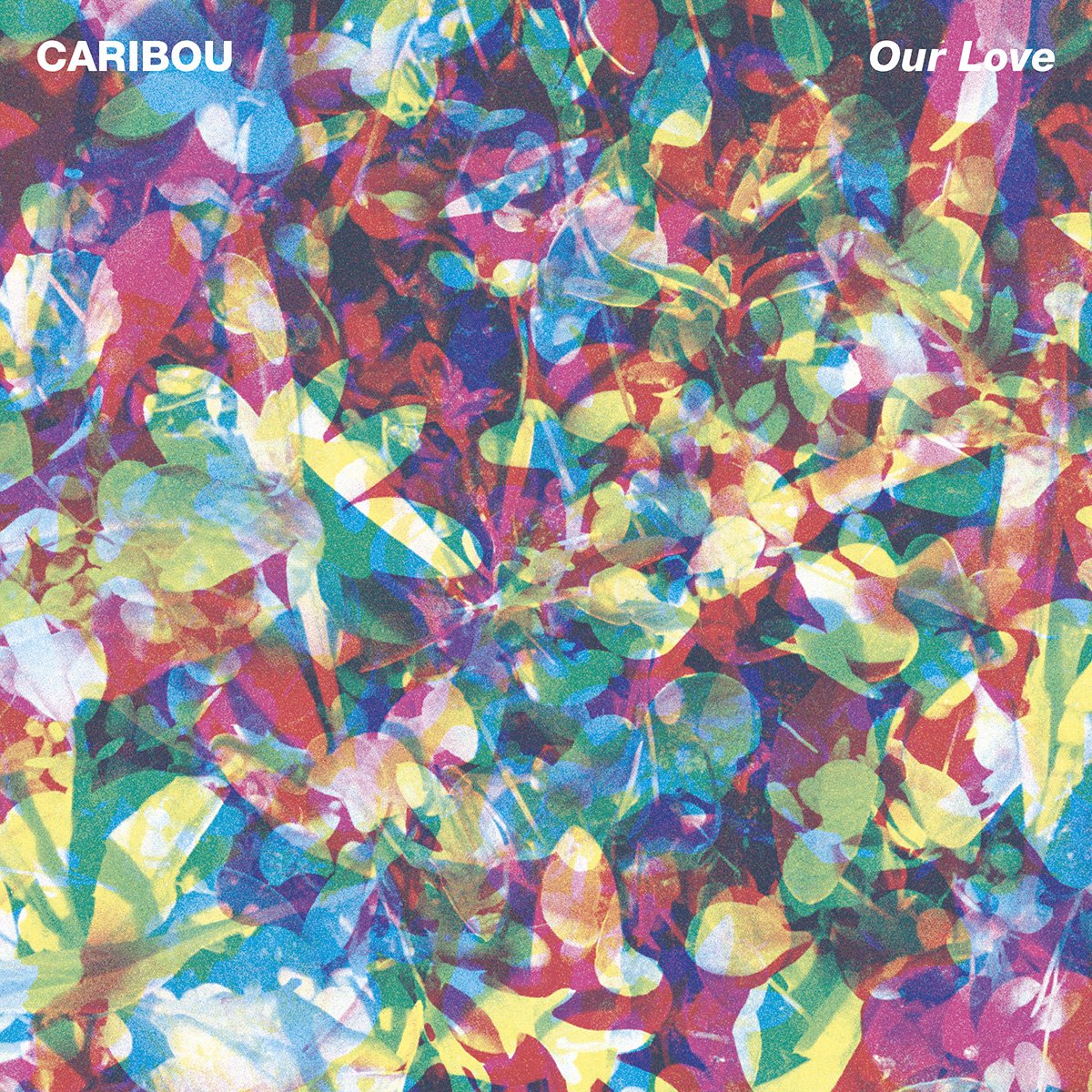 Cover: Our Love