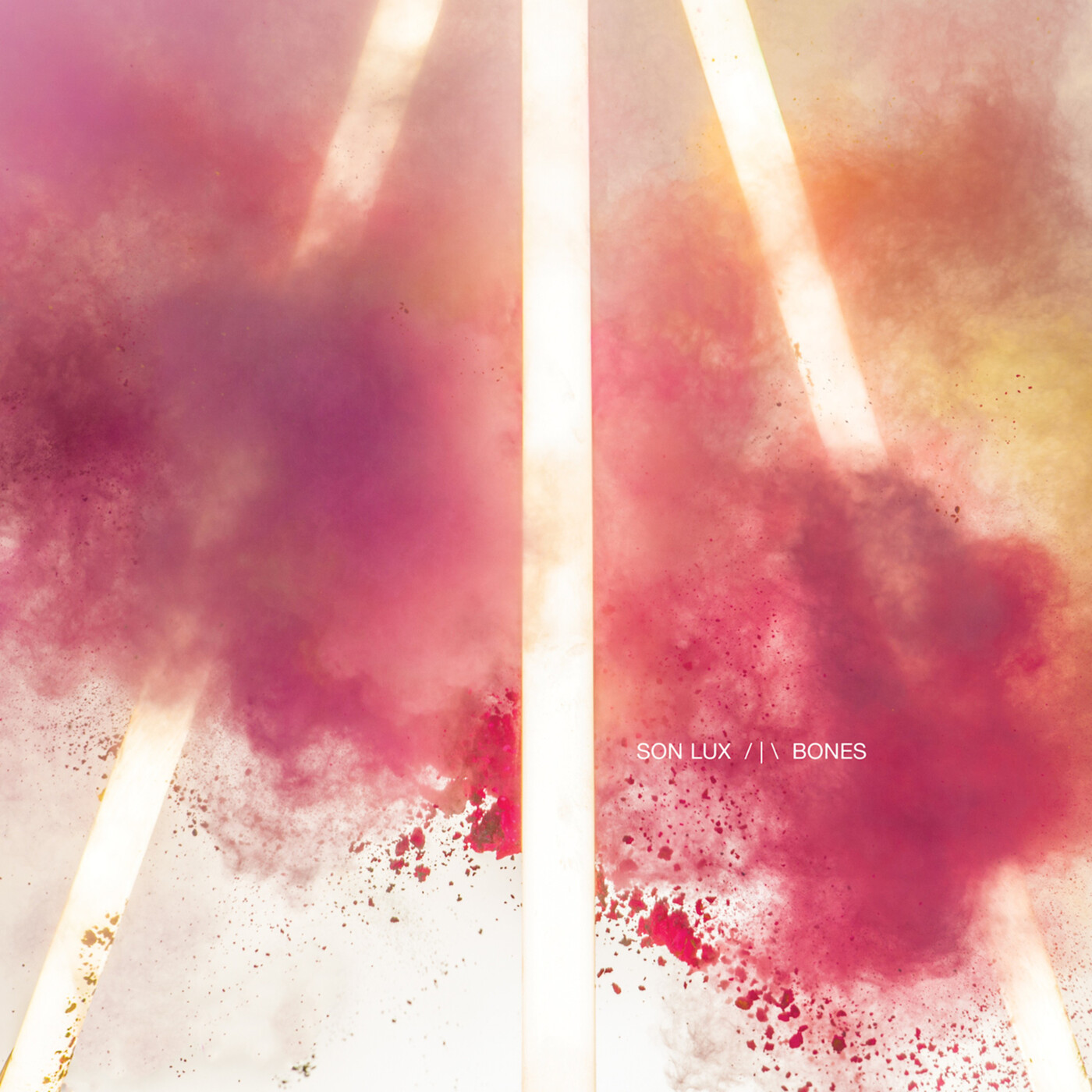 Cover: Bones
