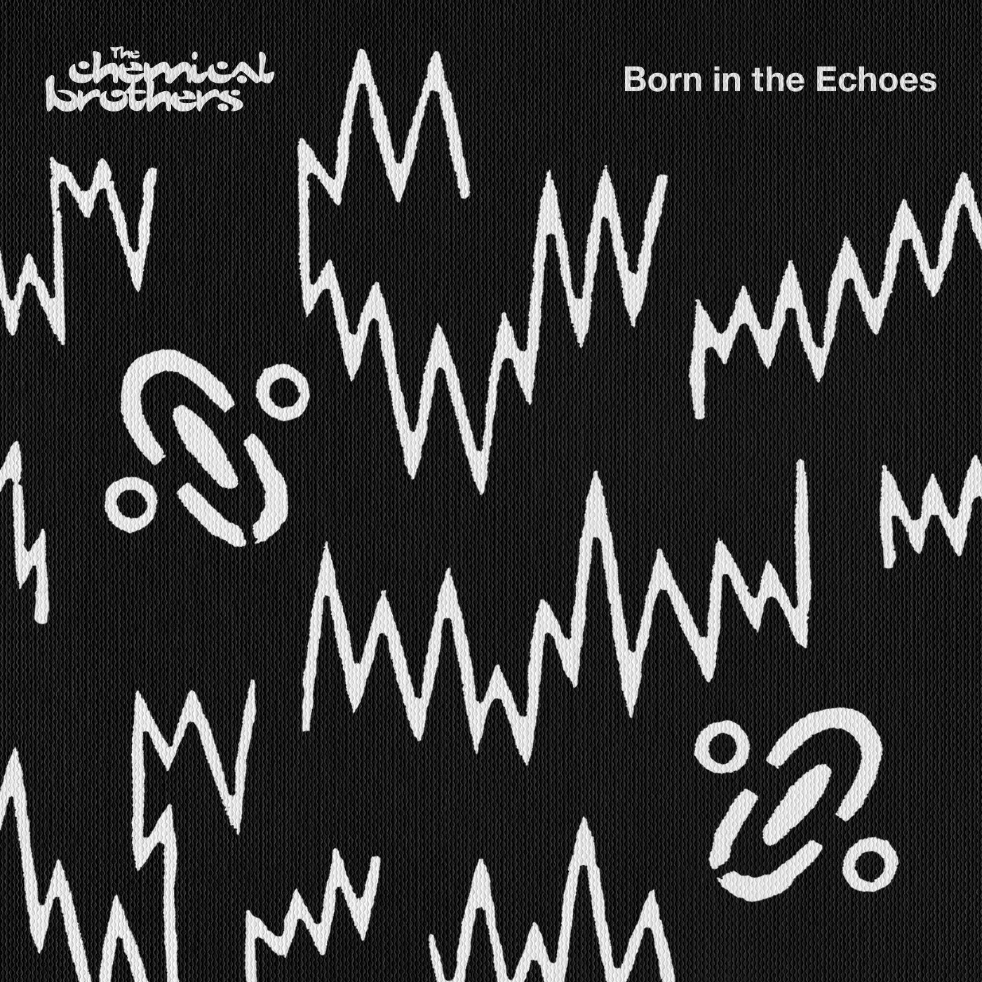 Cover: Born in the Echoes