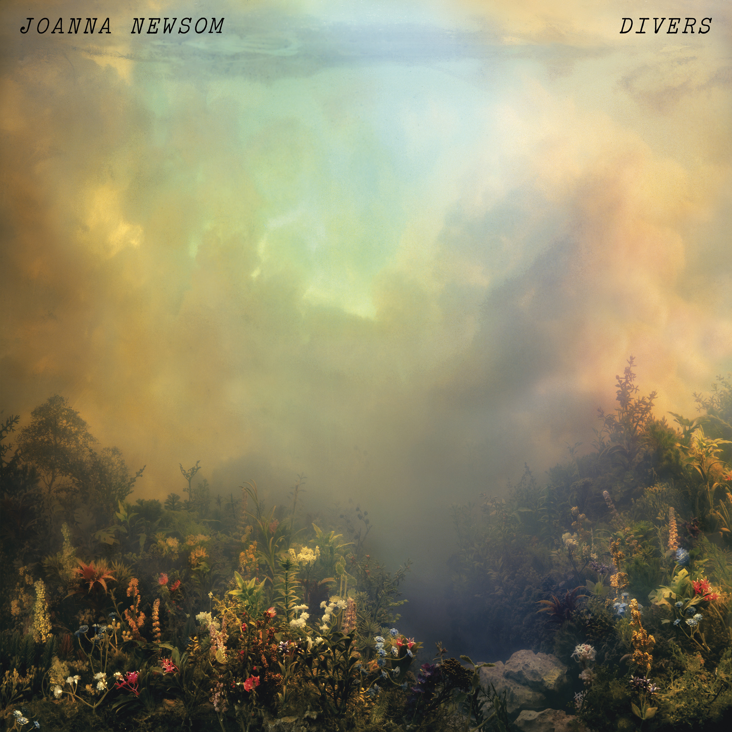 Cover: Divers