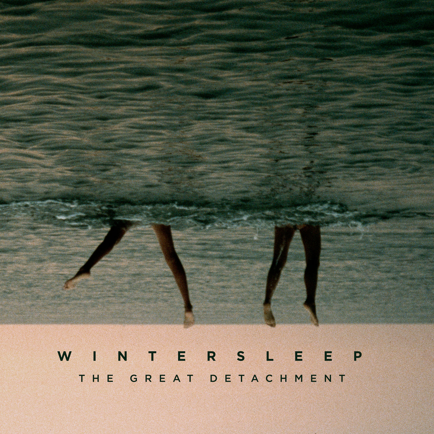 Cover: The Great Detachment