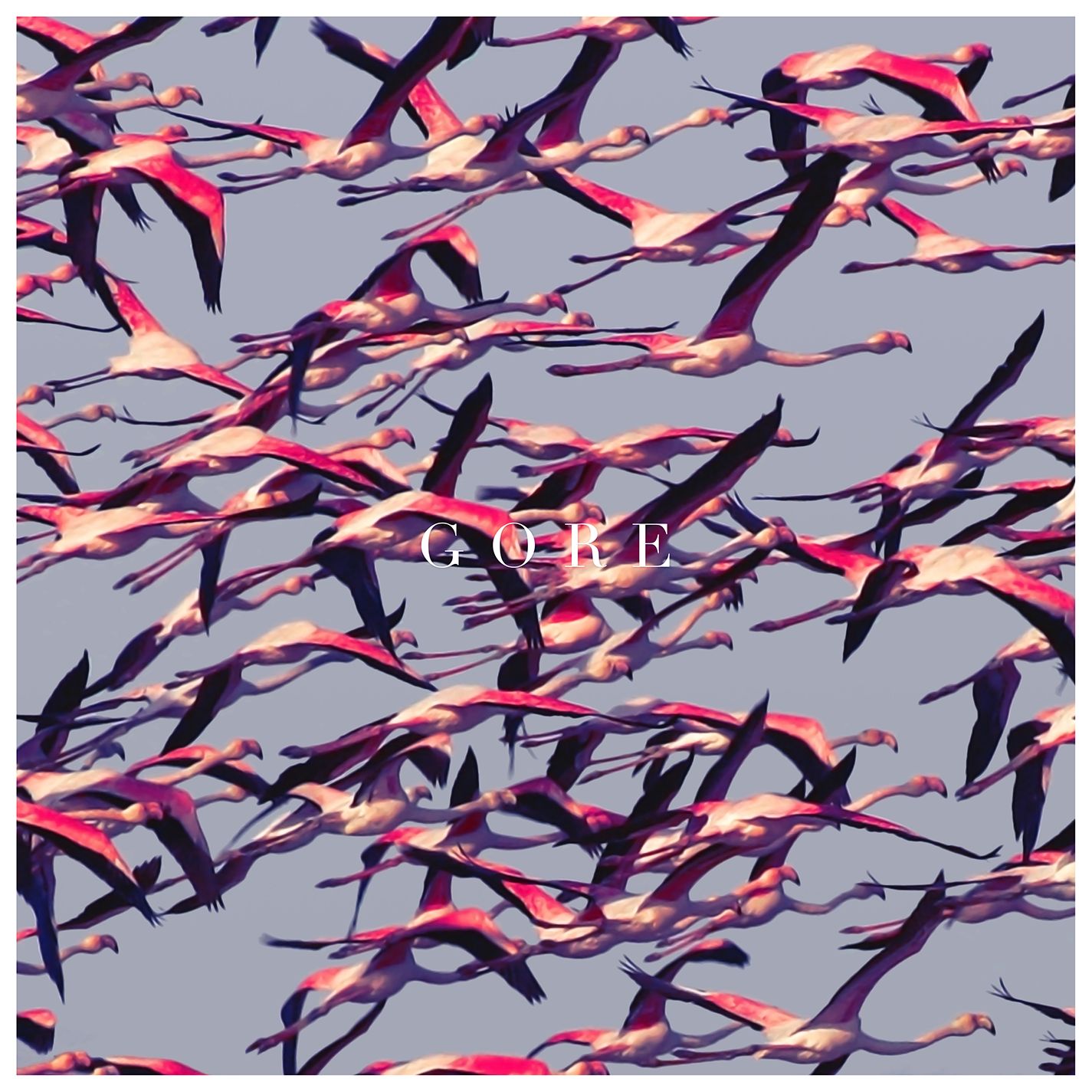 Cover: Gore