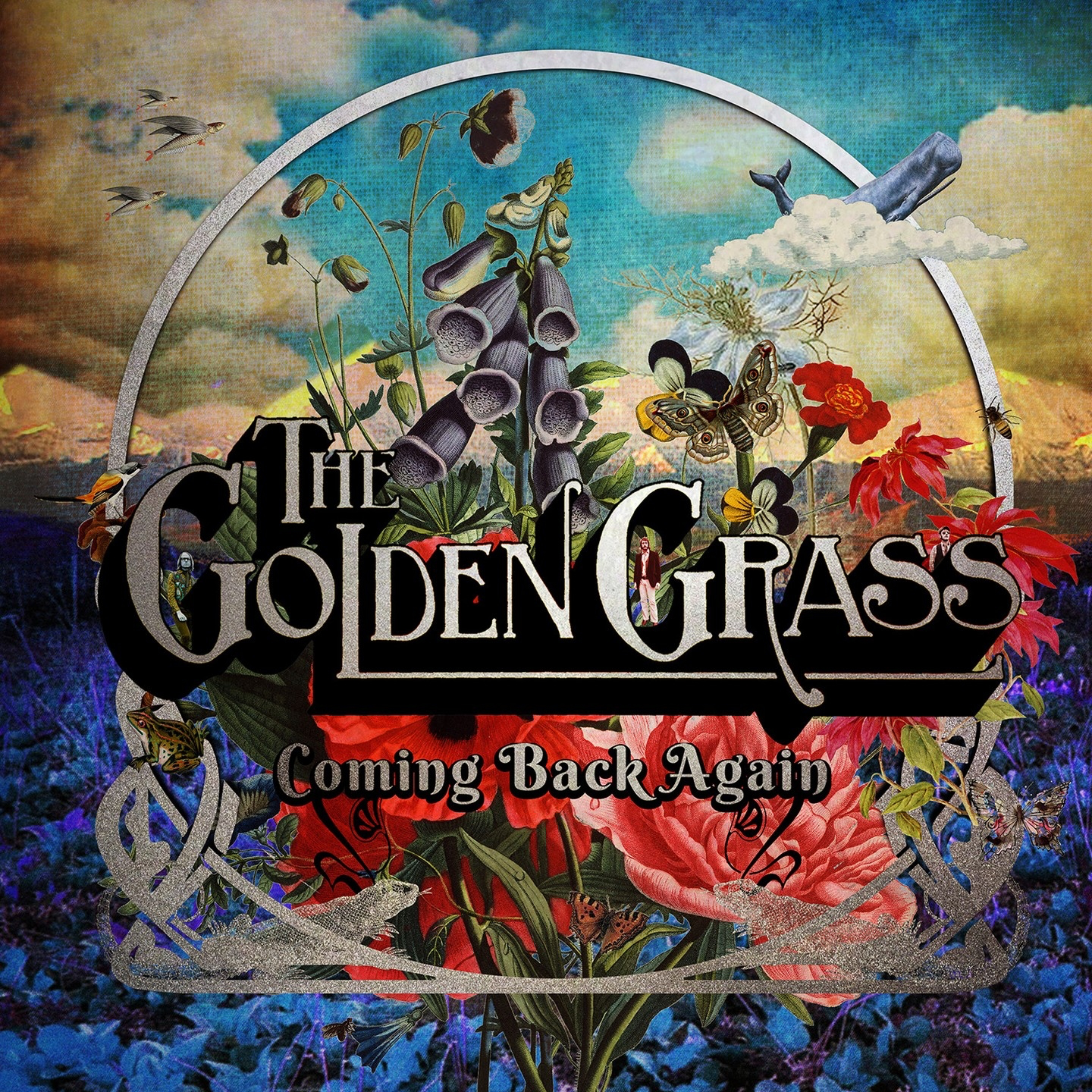 Cover: Coming Back Again