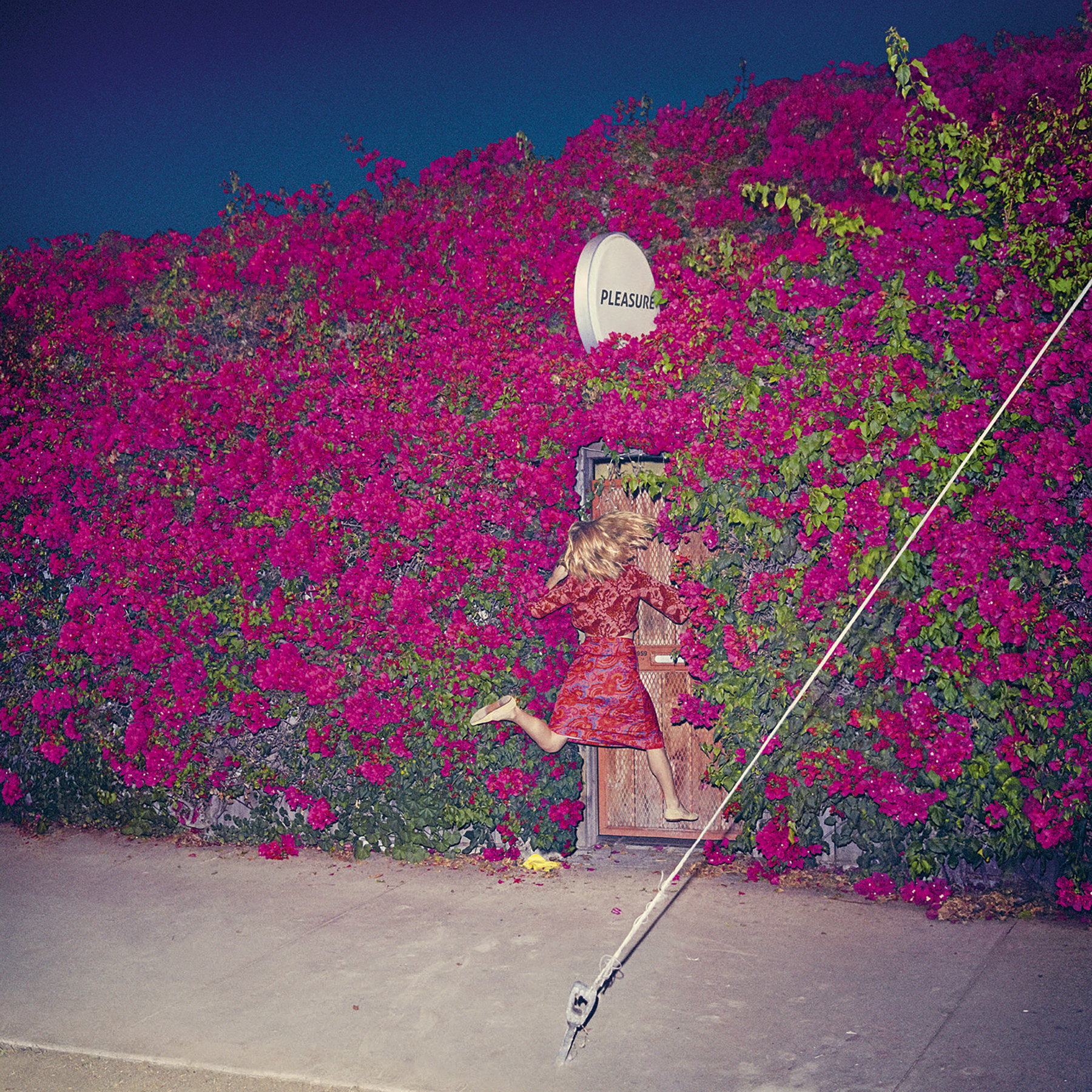 Cover: Pleasure