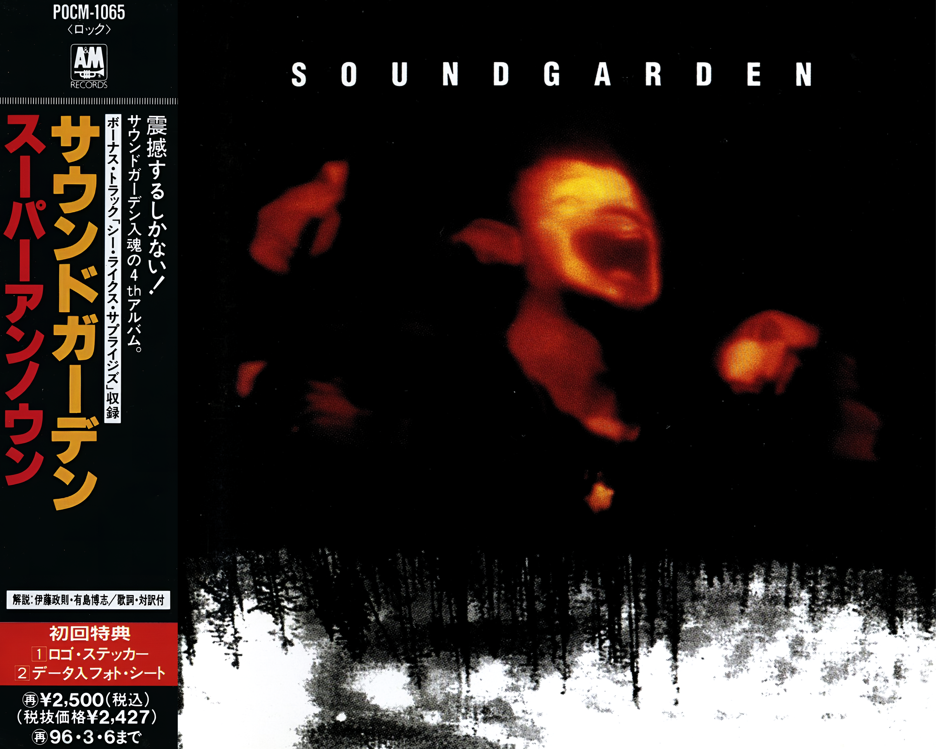 Cover: Superunknown
