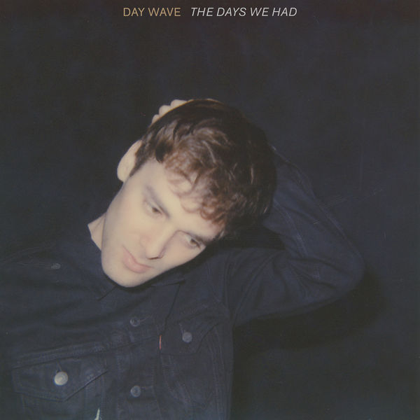 Cover: The Days We Had