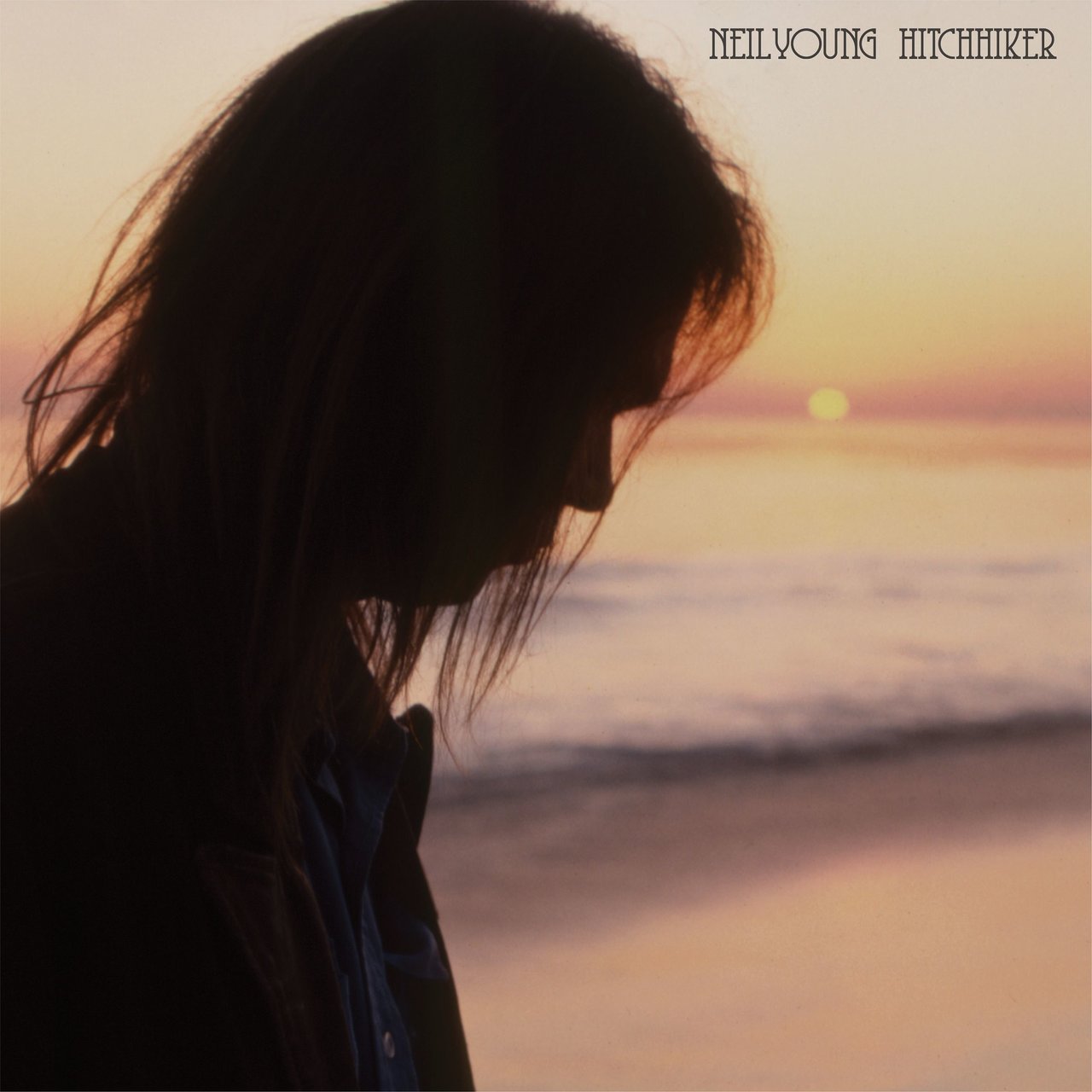 Cover: Hitchhiker