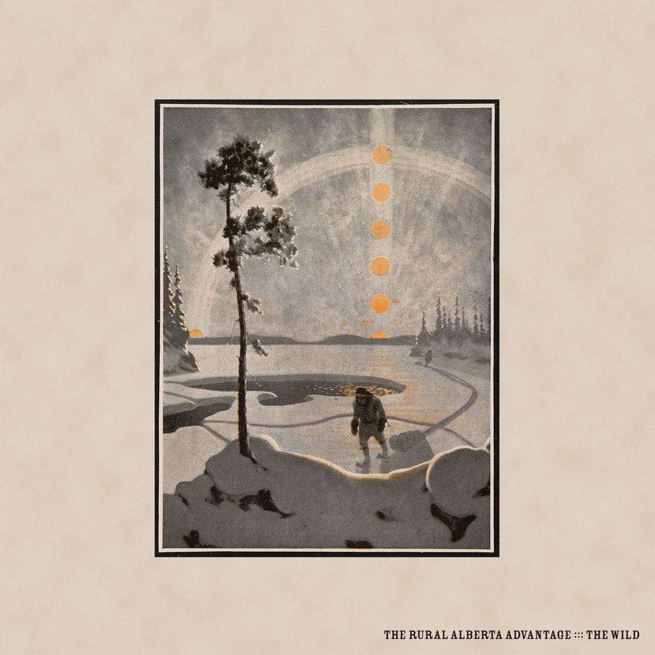 Cover: The Wild