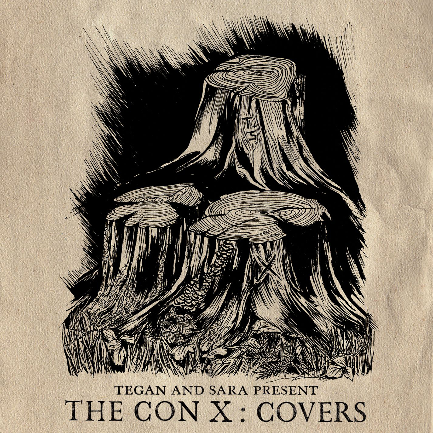 Cover: The Con X:Covers