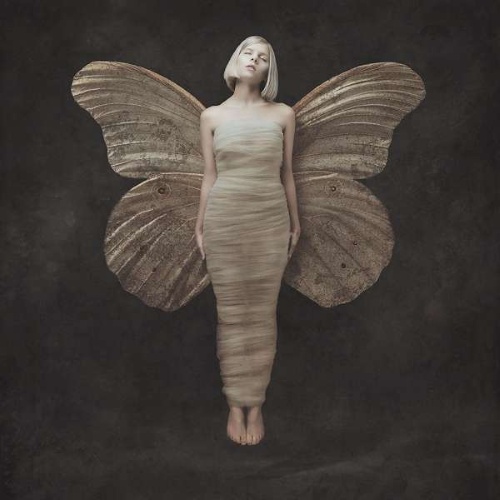 Cover: All My Demons Greeting Me As A Friend (The Moth Tapes)