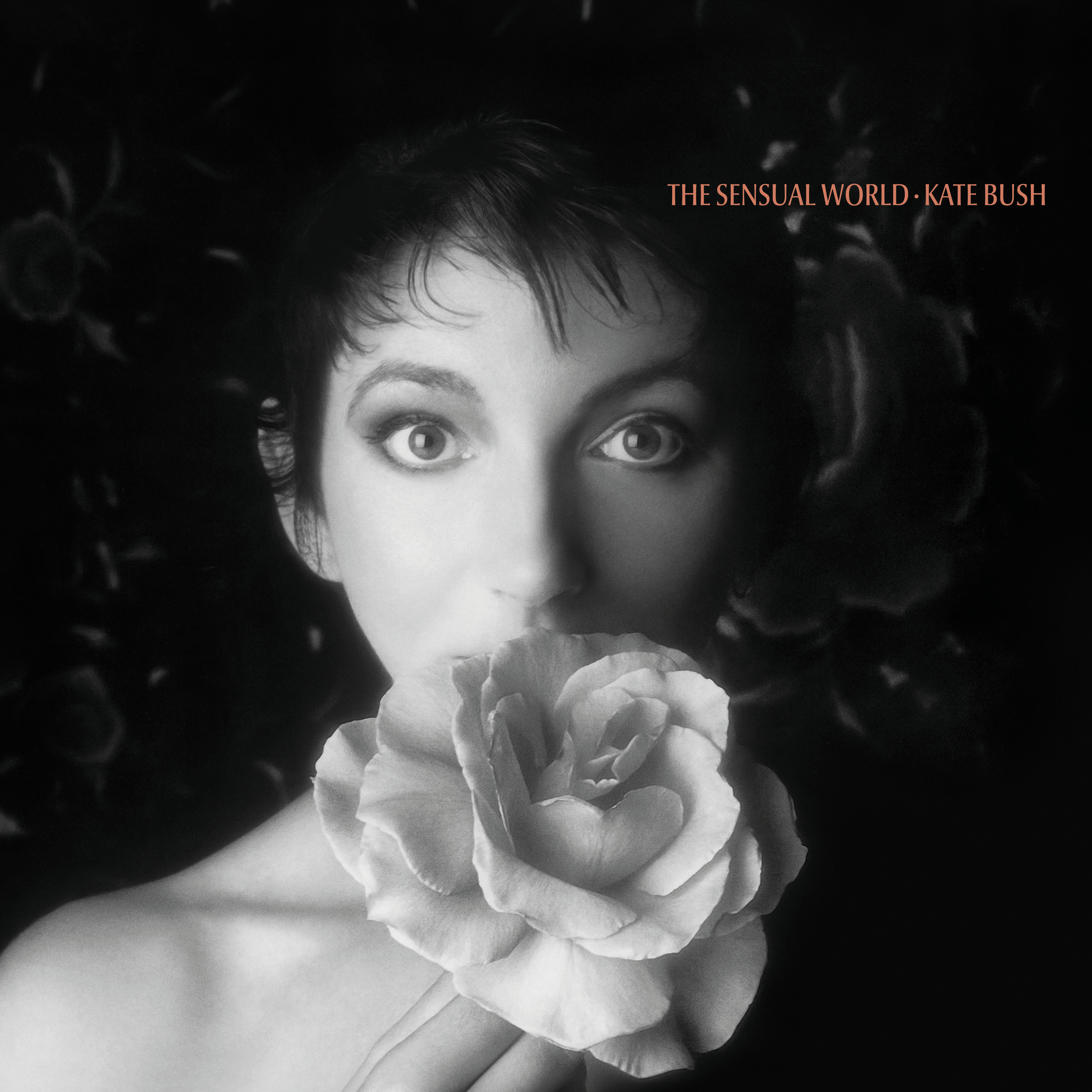Cover: The Sensual World