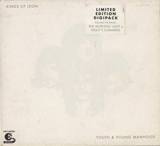 Cover: Youth & Young Manhood