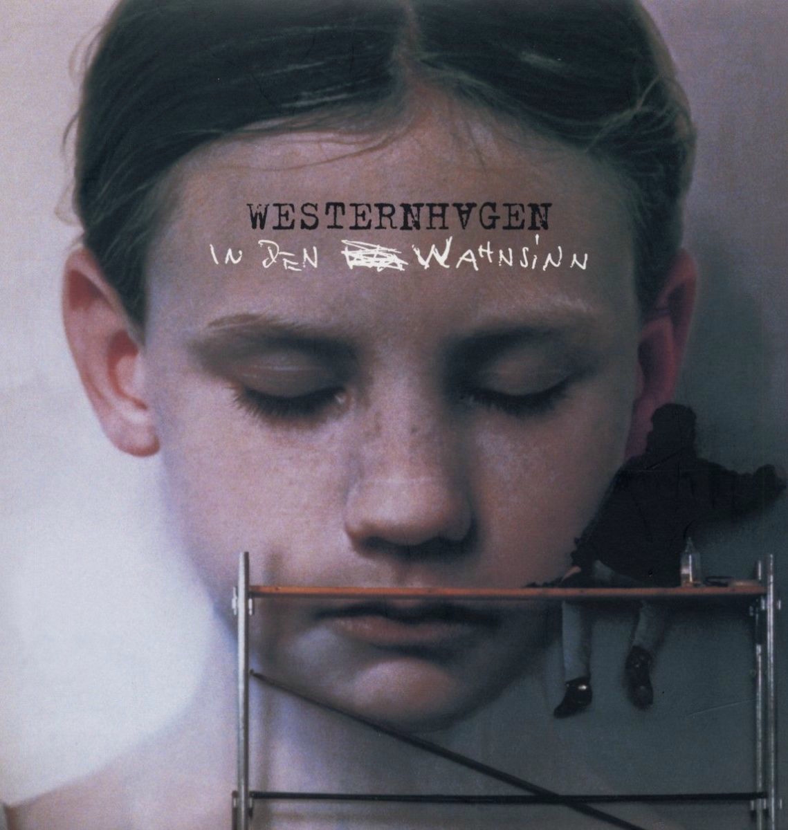 Cover: In Den Wahnsinn