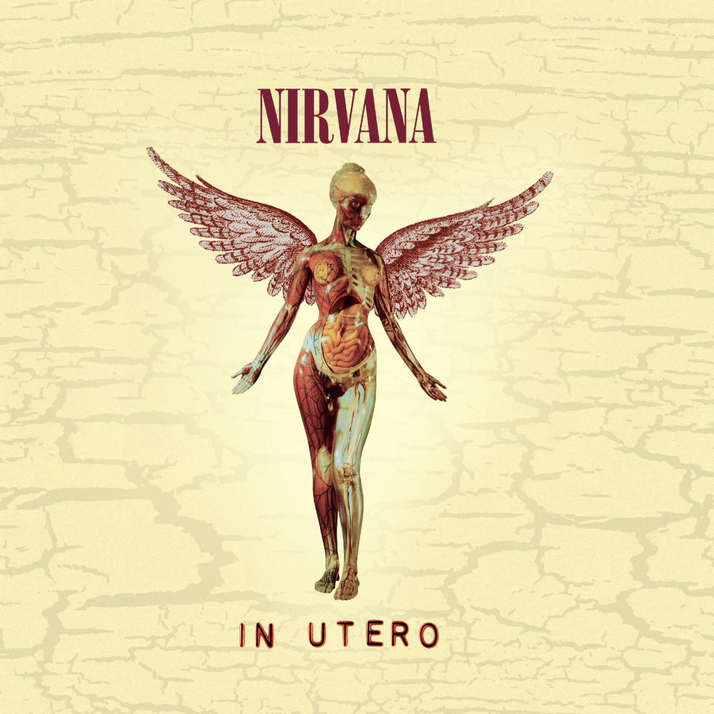 Cover: In Utero