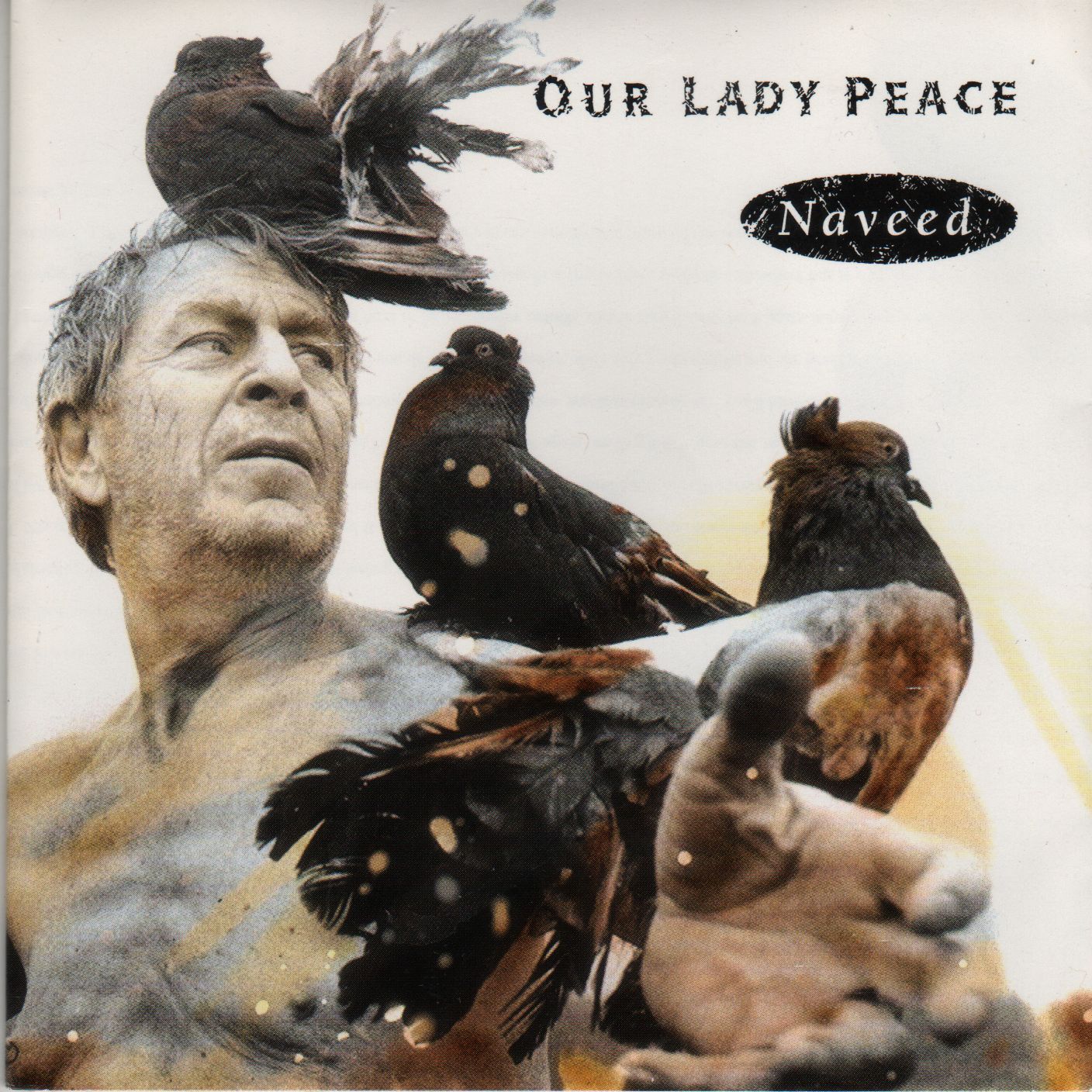 Cover: Naveed