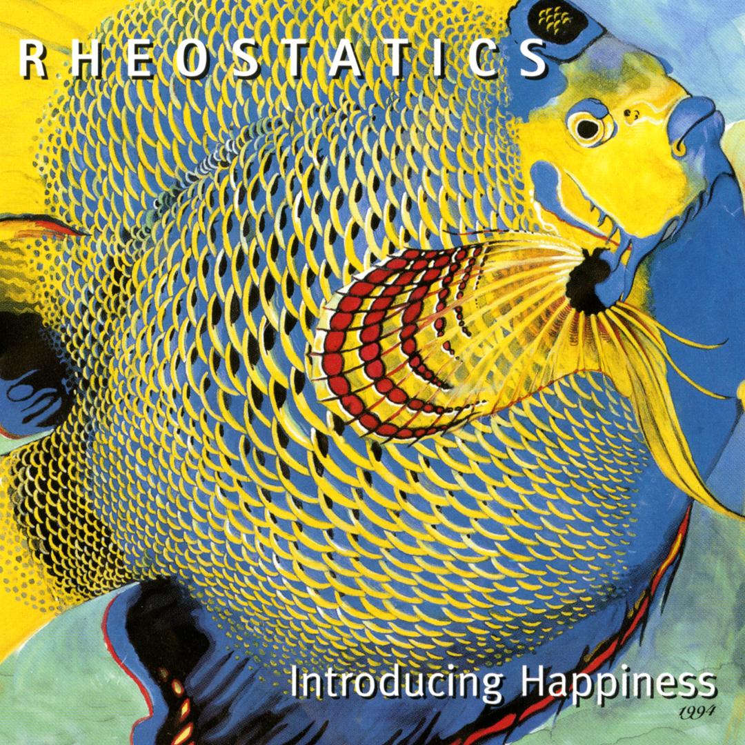 Cover: Introducing Happiness