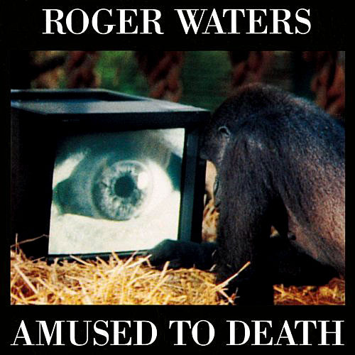 Cover: Amused To Death