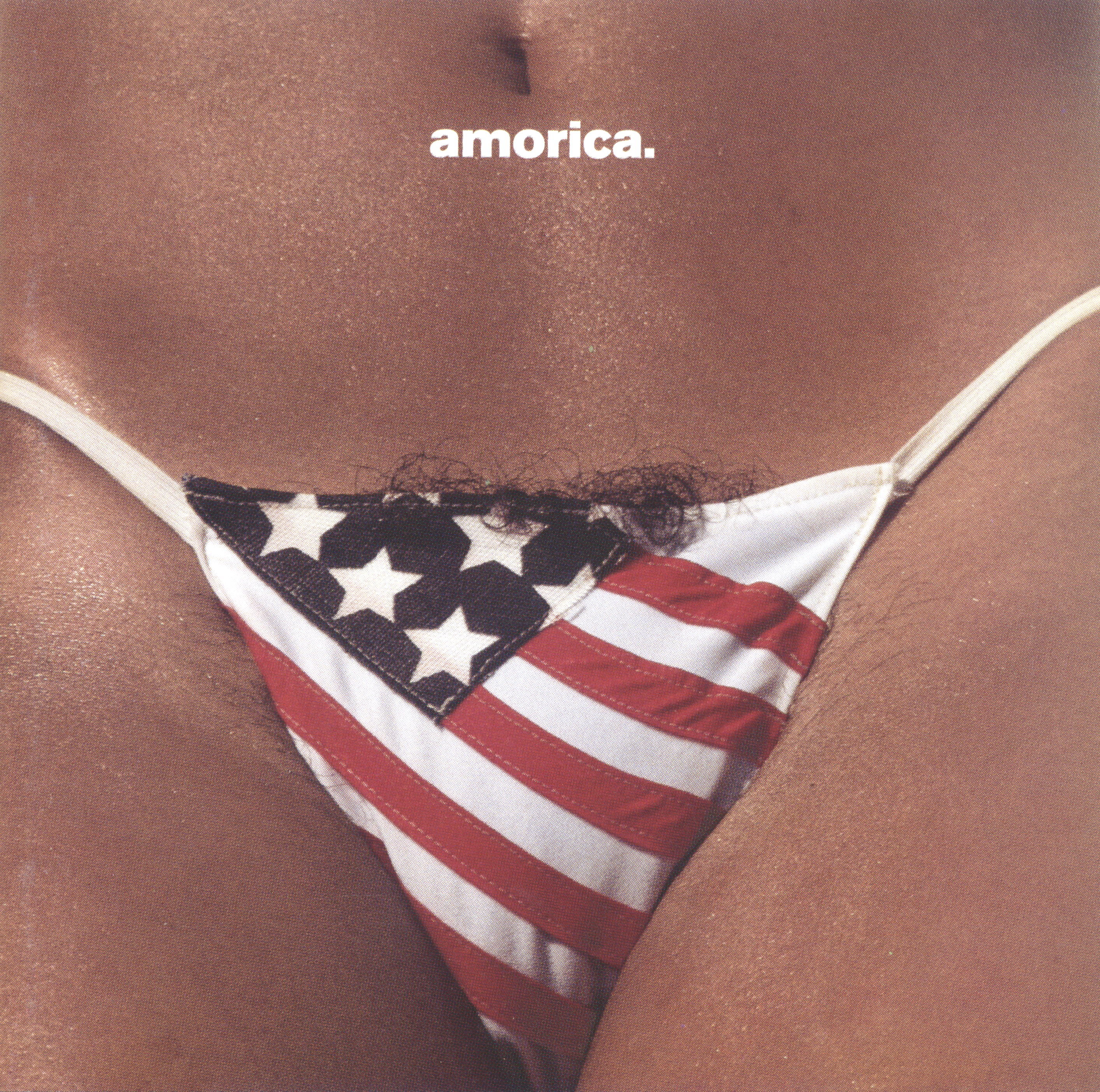 Cover: Amorica