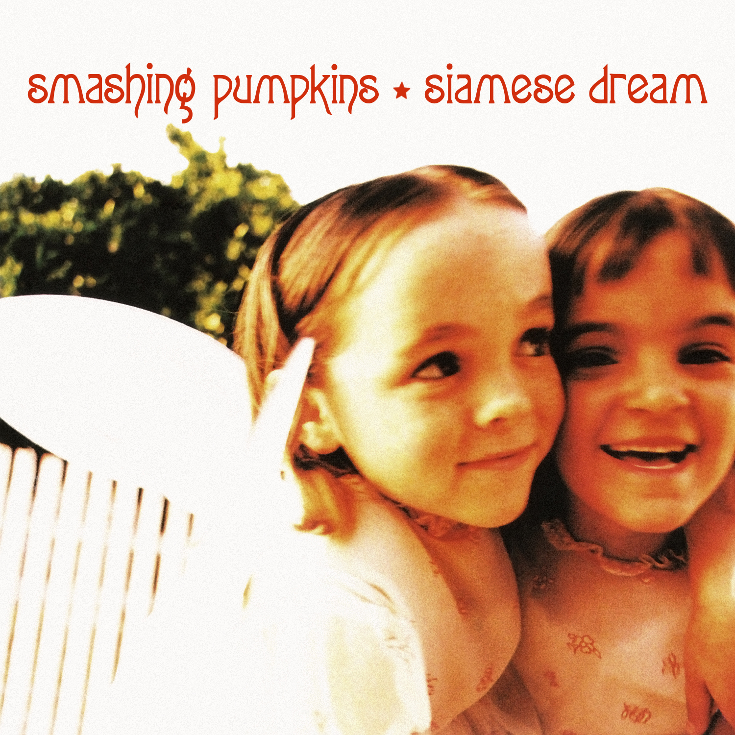 Cover: Siamese Dream