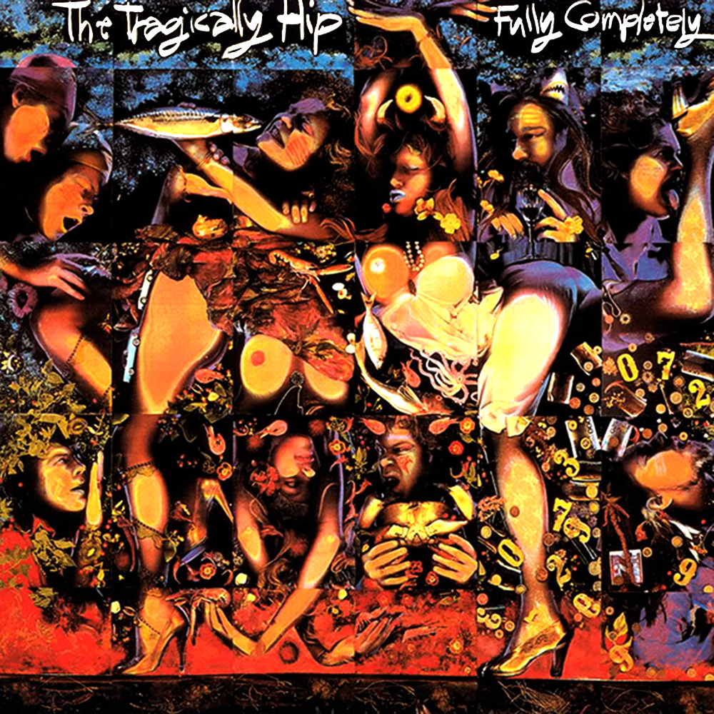 Cover: Fully Completely