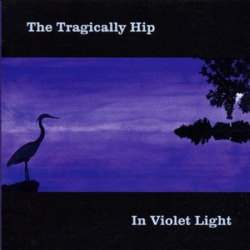 Cover: In Violet Light