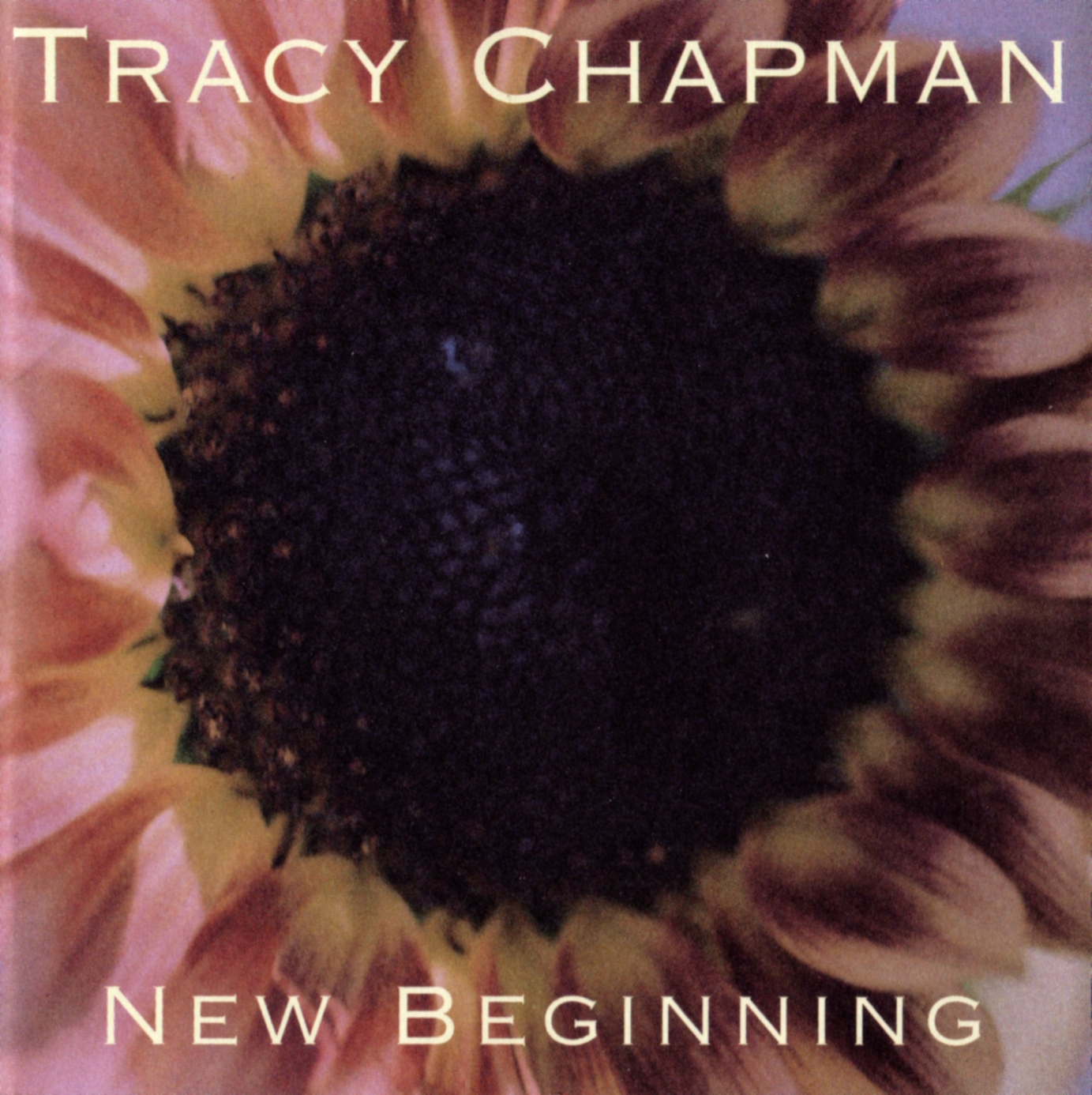 Cover: New Beginning