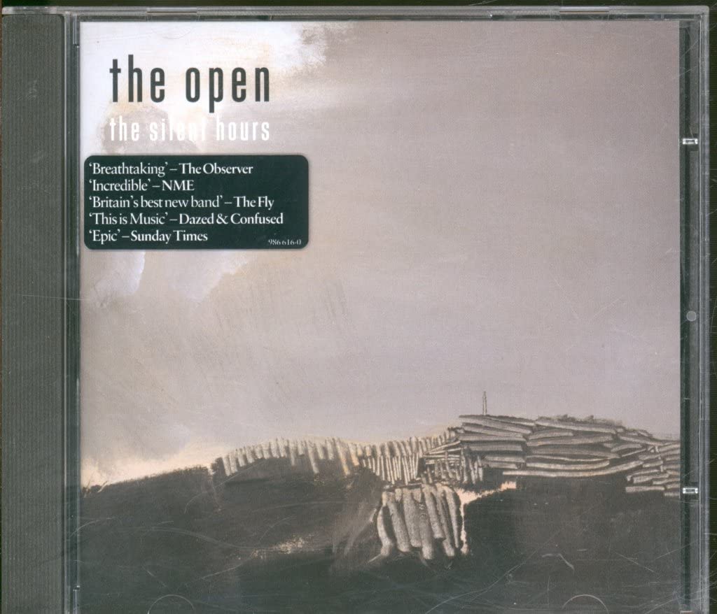 Cover: The Silent Hours