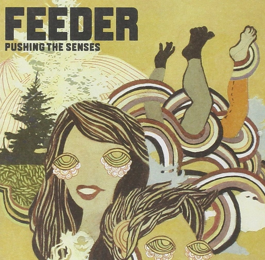 Cover: Pushing The Senses